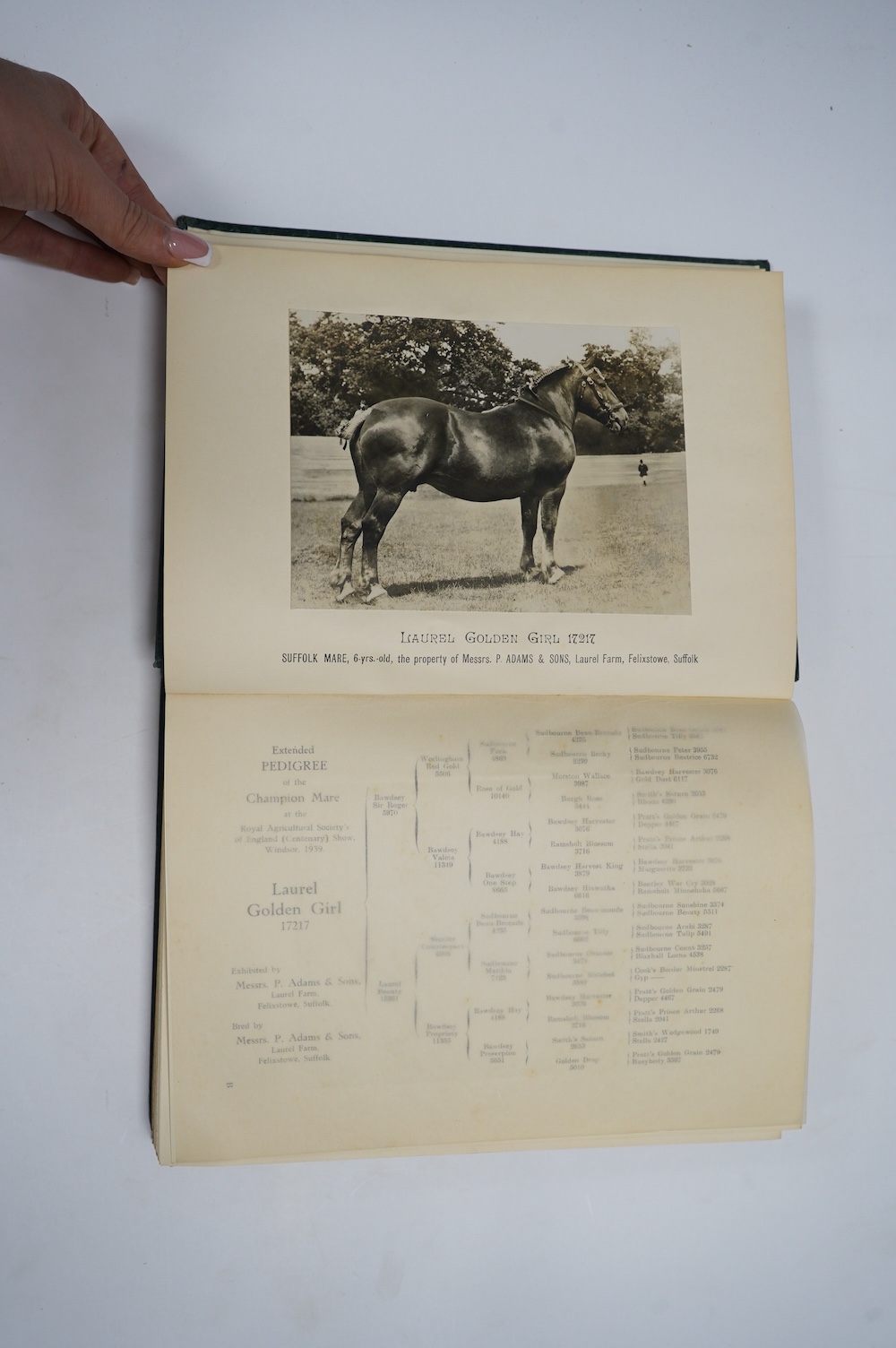 The Suffolk Stud-Book: a register of the county breed of cart horses. vol. XLIII. 2 mounted photo. plates and 2 folded tables; original cloth, roy.8vo. Diss, 1940; Lloyd, Walford - The Southdown Sheep ... illus.; gilt pi